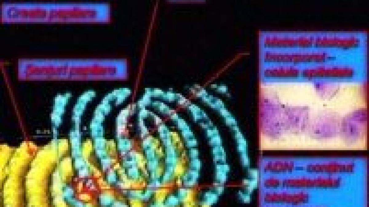 cititorul de amprente o inventie romaneasca ce uimeste fbi ul video