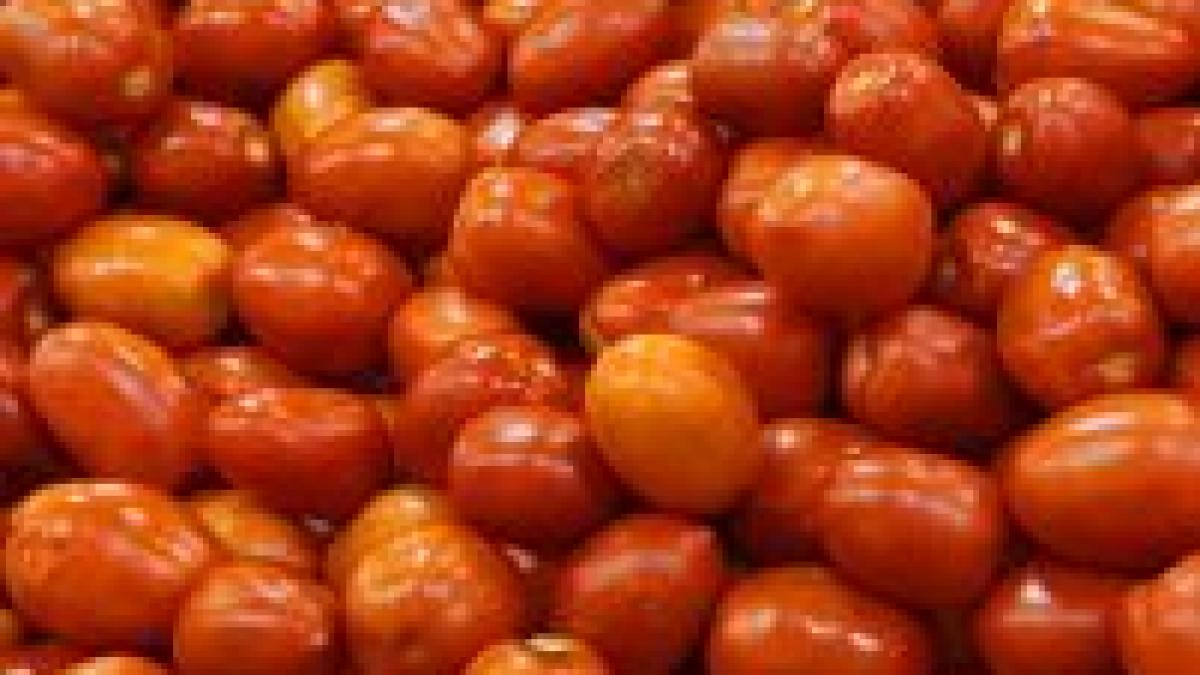 epidemie de salmonela in sua