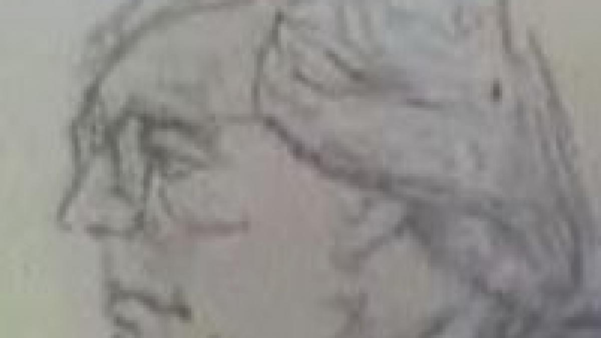 sua judecator federal roman suspendat dupa postarea unor poze indecente pe internet