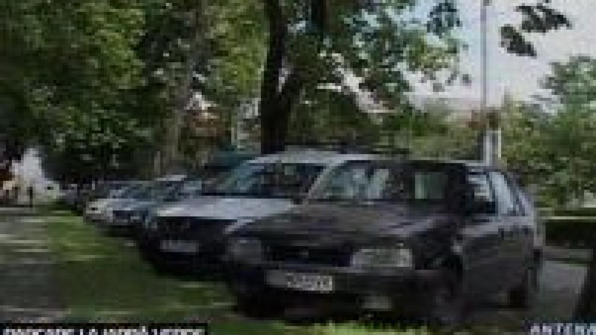 unica parcare la iarba verde din tara amenajata la sibiu