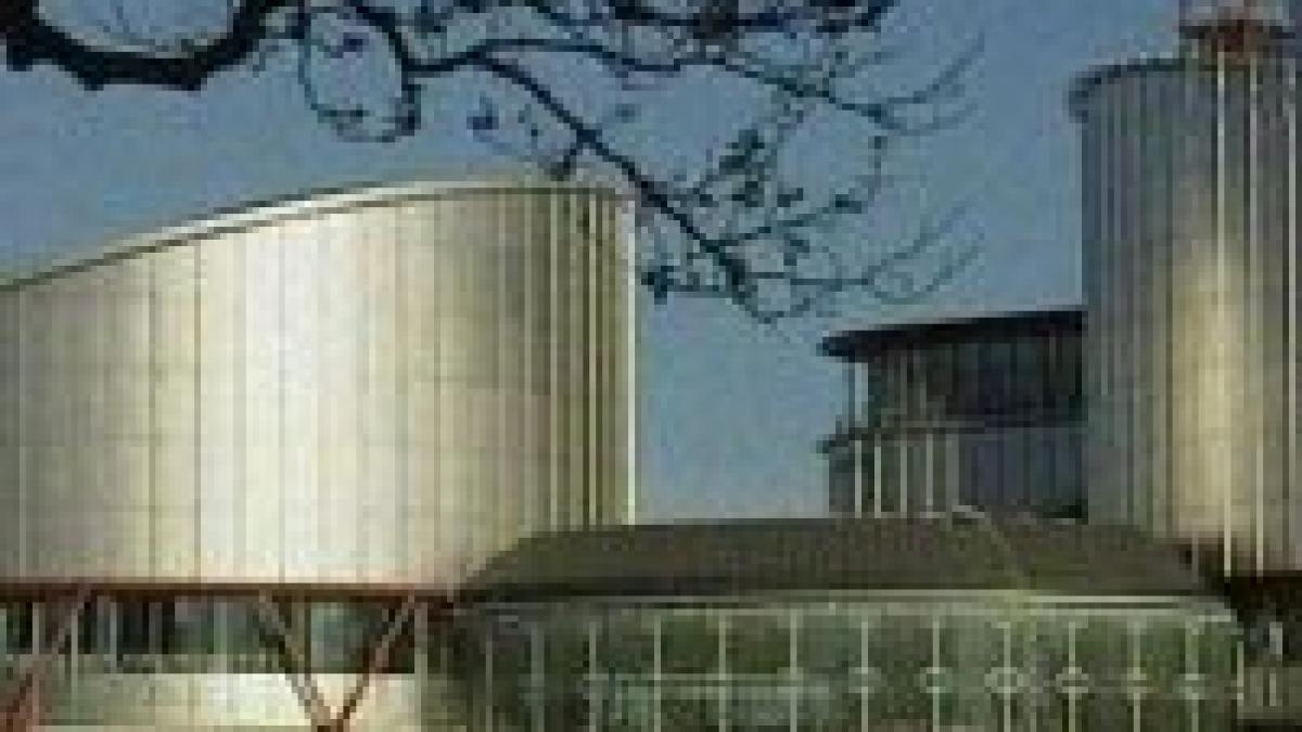 fostul presedinte al bancorex a castigat la cedo procesul impotriva romaniei