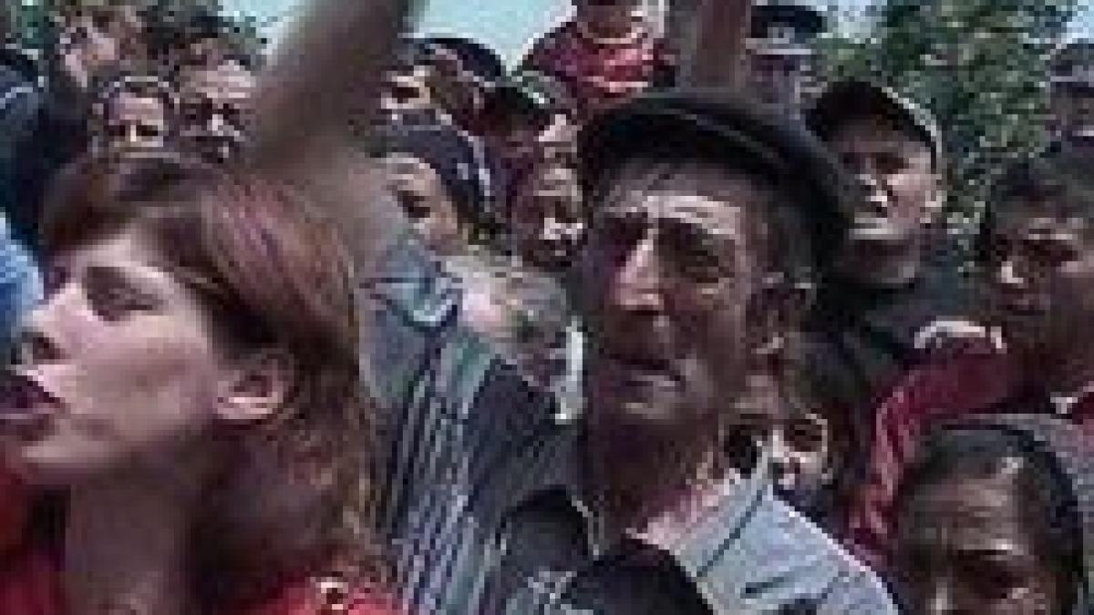 peste 300 de oameni cer anularea alegerilor in techirghiol