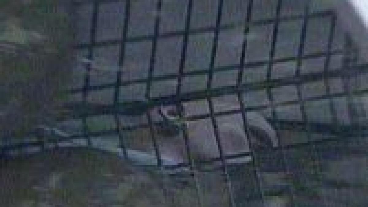 un maior este acuzat ca si a ucis nevasta insarcinata