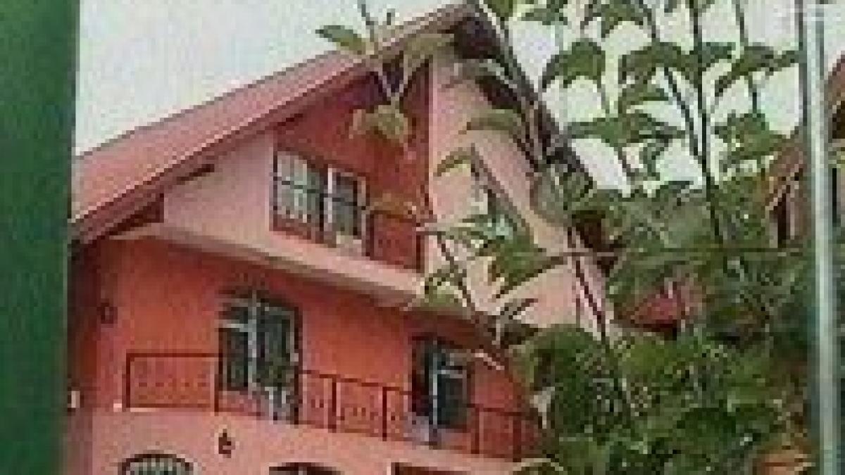 palate din permise averile capilor retelei de permise ilegale din arges