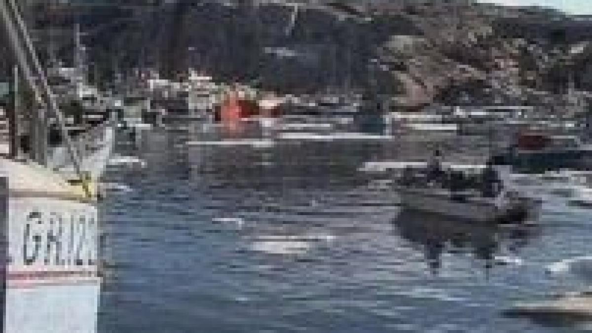 groenlanda locuitorii insulei vor vota pentru declararea independentei