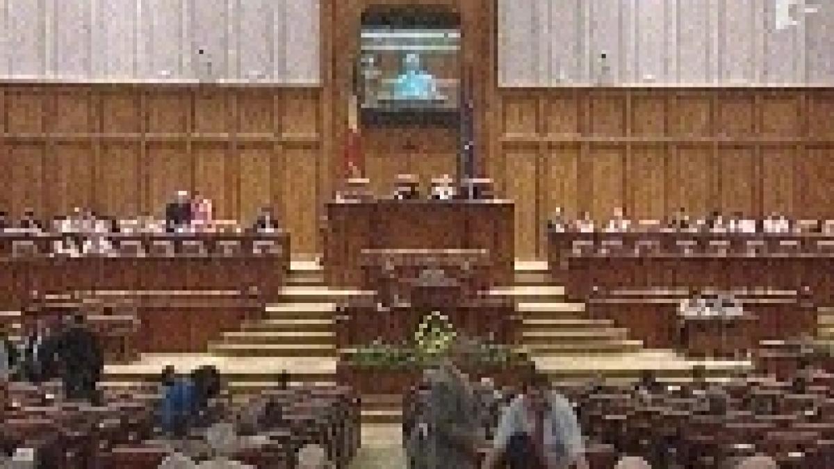 in ultima zi de lucru parlamentarii cu gandul deja la vacanta video