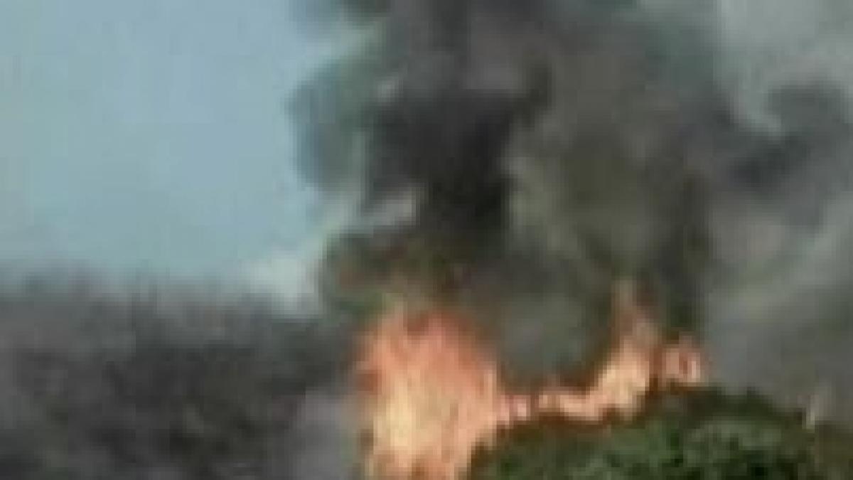 sua peste 800 de noi incendii in california in urma unei furtuni