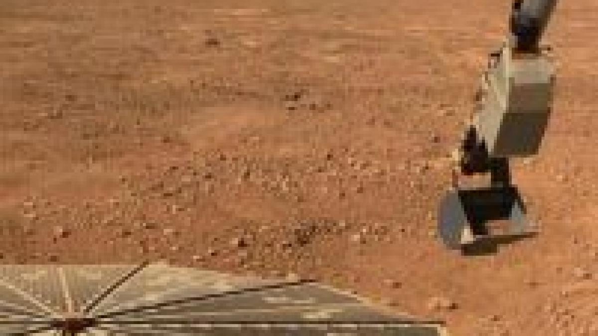 solul martian poate intretine viata