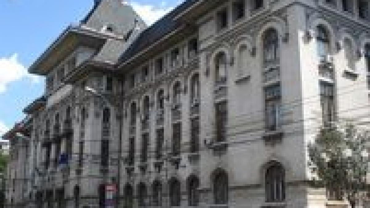 atributiile viceprimarilor murgeanu administratie ionescu dezvoltare si cultura