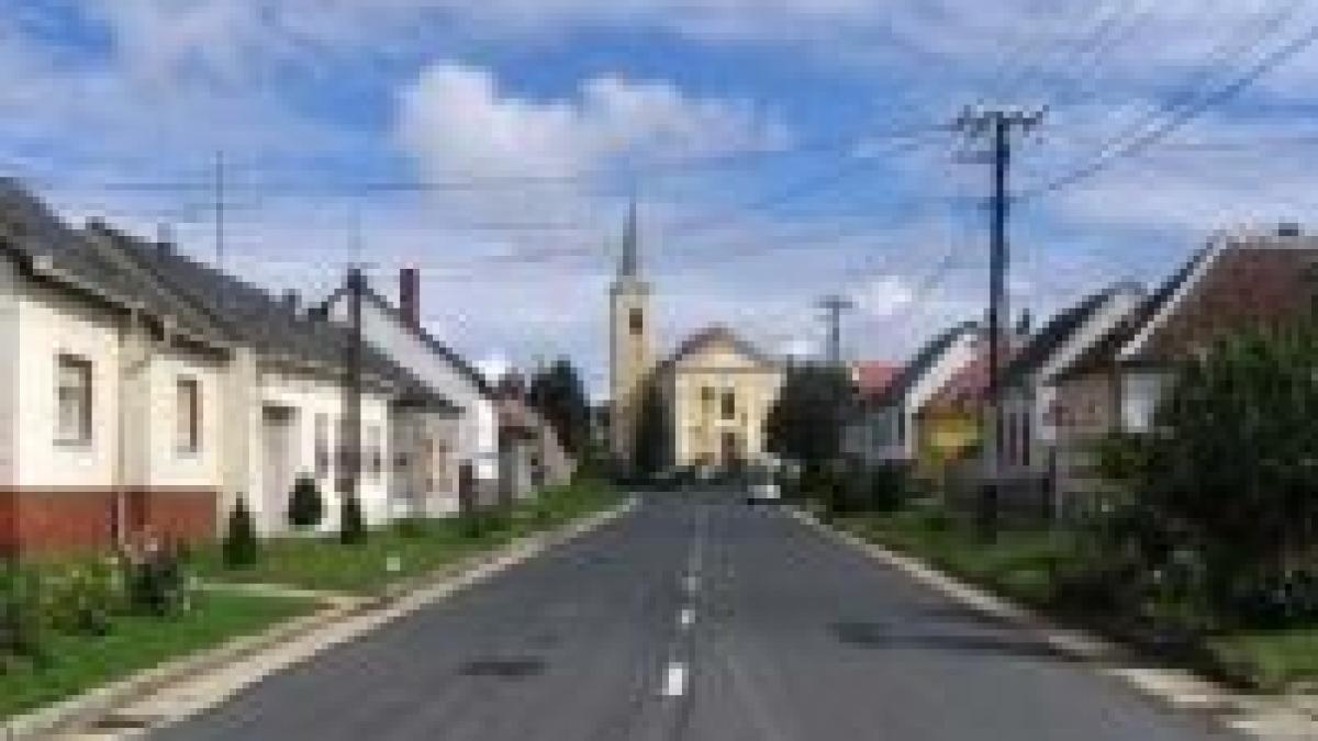 proteste la viena transportatorii sunt nemultumiti de pretul carburantilor