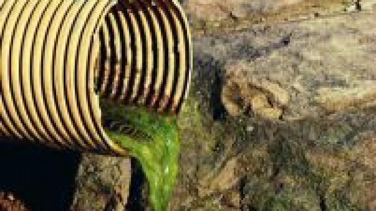 bucurestiul polueaza argesul dunarea si marea neagra din lipsa unei statii de epurare