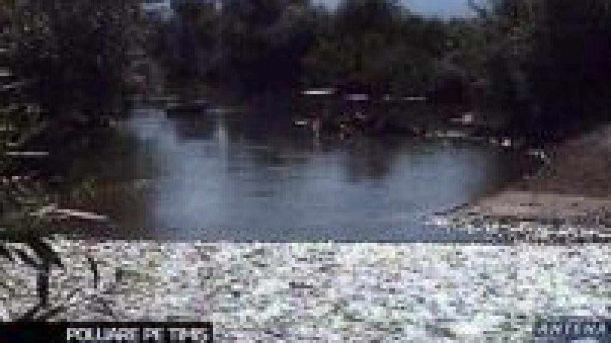 raul timis poluat cu produse petroliere