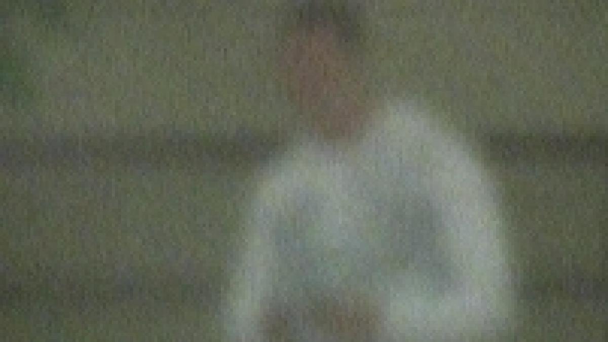 concertul metallica o afacere profitabila pentru bisnitari