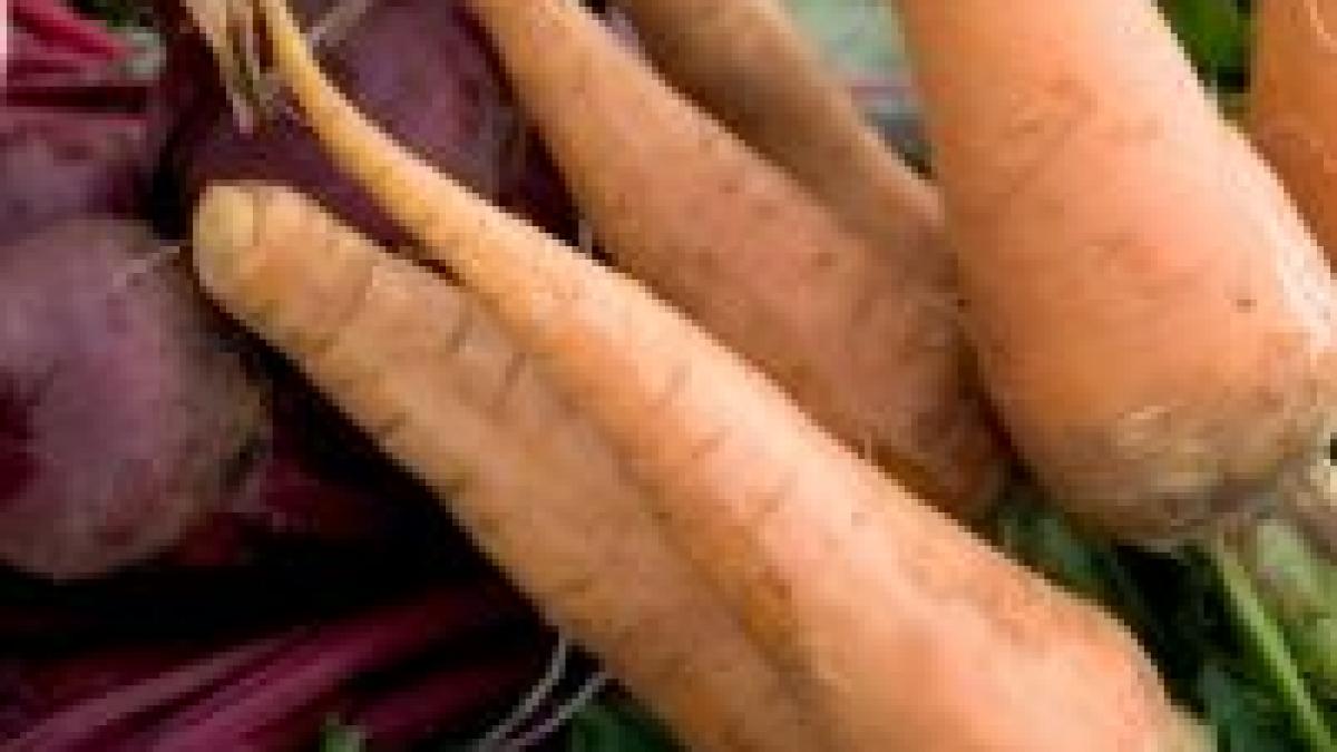 supermarketurile din u e pot vinde din nou legume si fructe diforme