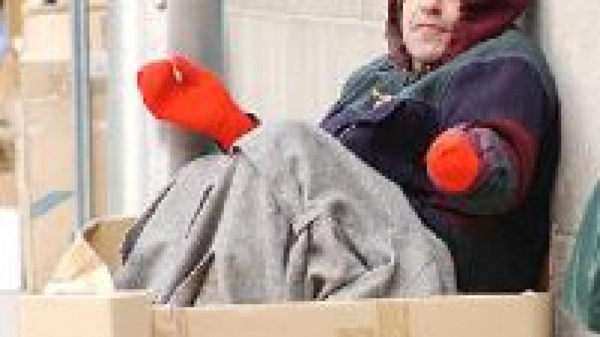 italia cersetoria a fost interzisa in venetia