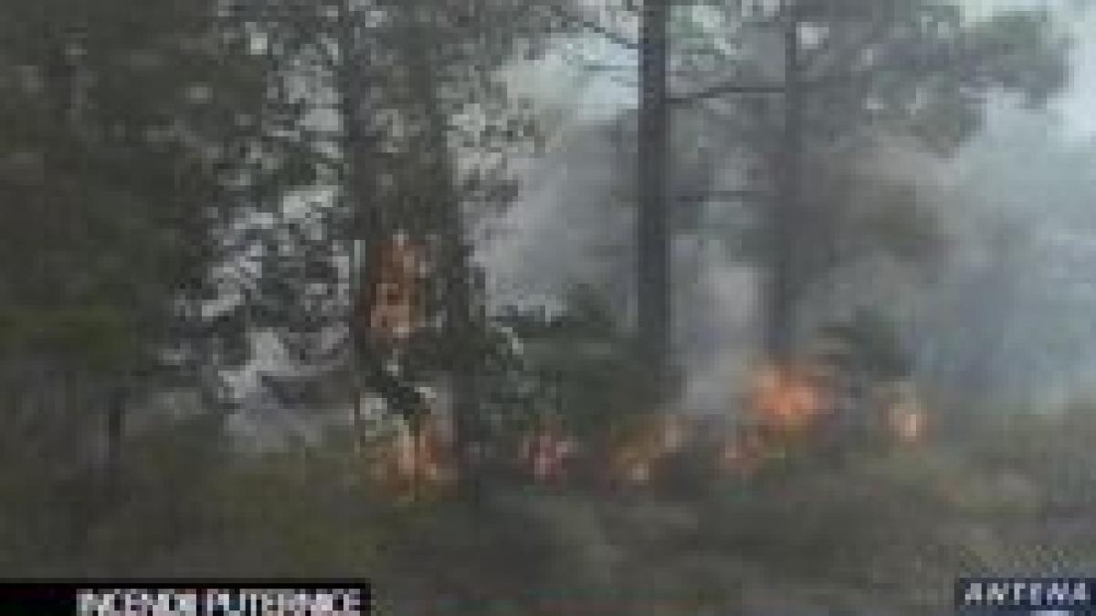 grecia padurile din insula rhodos ard de cinci zile