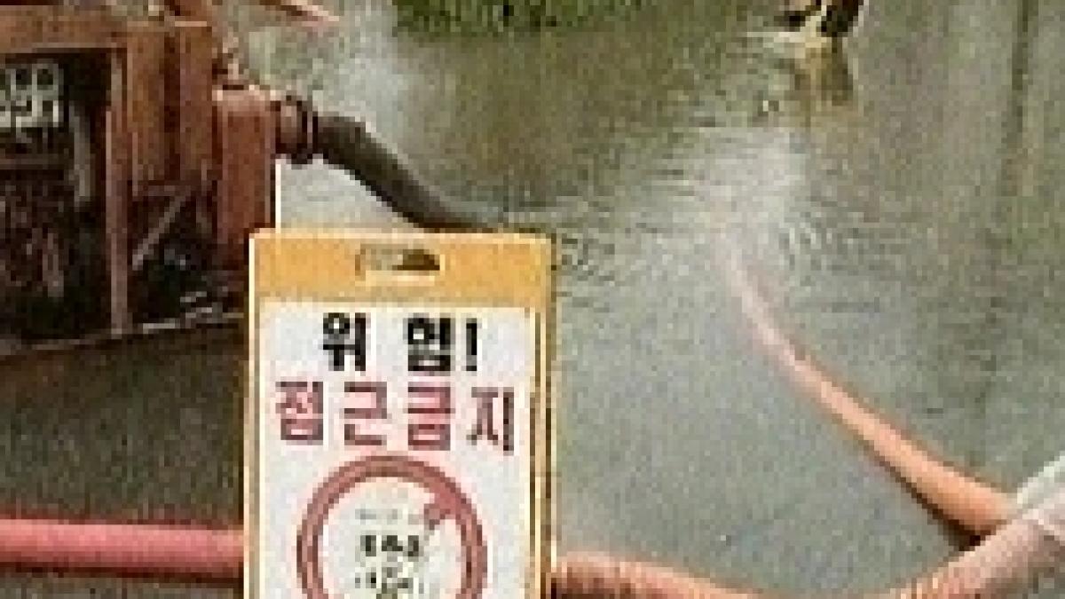 coreea de sud sapte oameni au murit in urma alunecarlor de teren