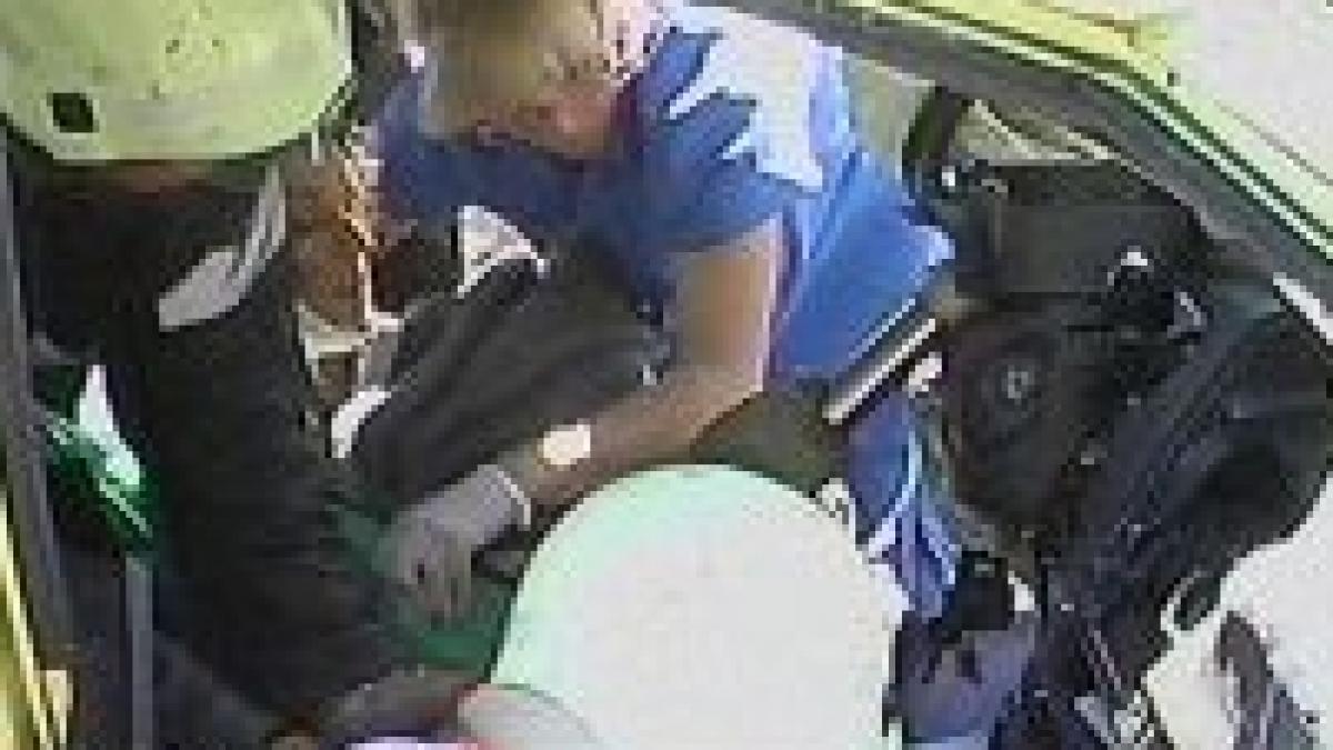 grav accident rutier dupa ce o albina a intrat pe geamul masinii