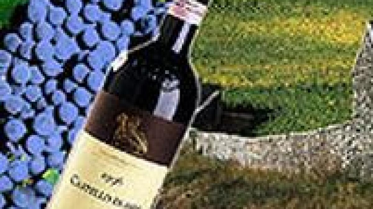 bulgaria creste pretul alcoolului romania ar putea fi avantajata