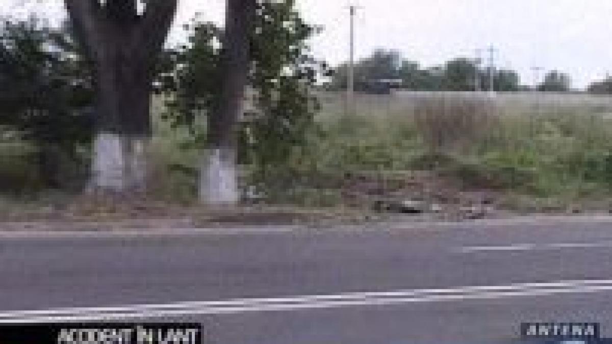 grav accident de circulatie pe dn 2a 47 de persoane ranite