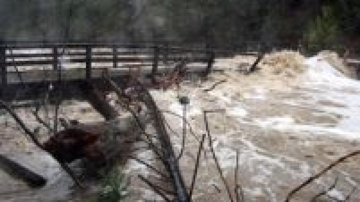 guvernul aloca 300 de lei pentru fiecare persoana afectata de inundatii