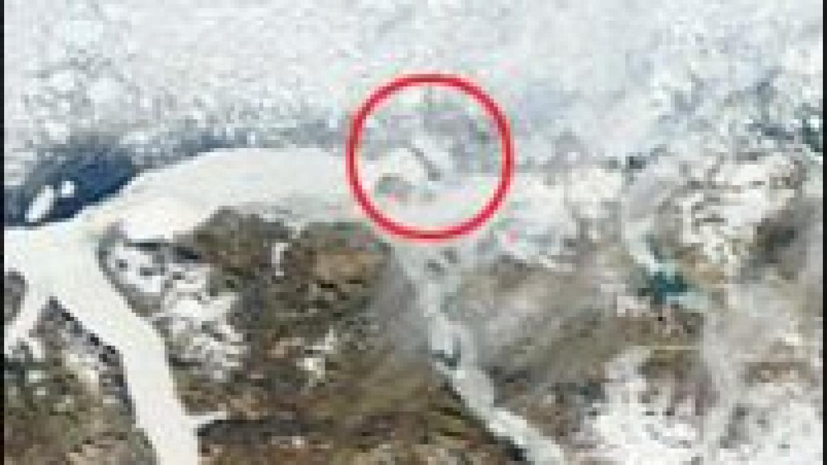 un urias bloc de gheata s a desprins din calota arctica