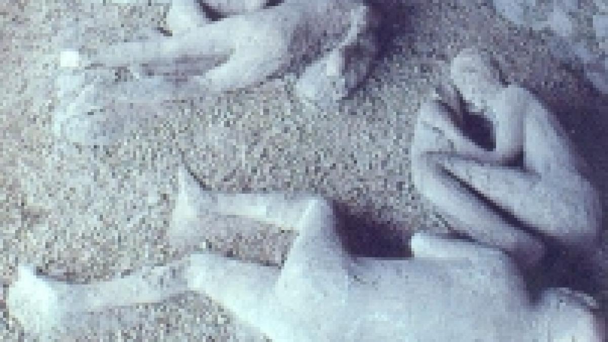 zece orase pentru cultura ta de la nabucodonosor la cenusa pompeiului