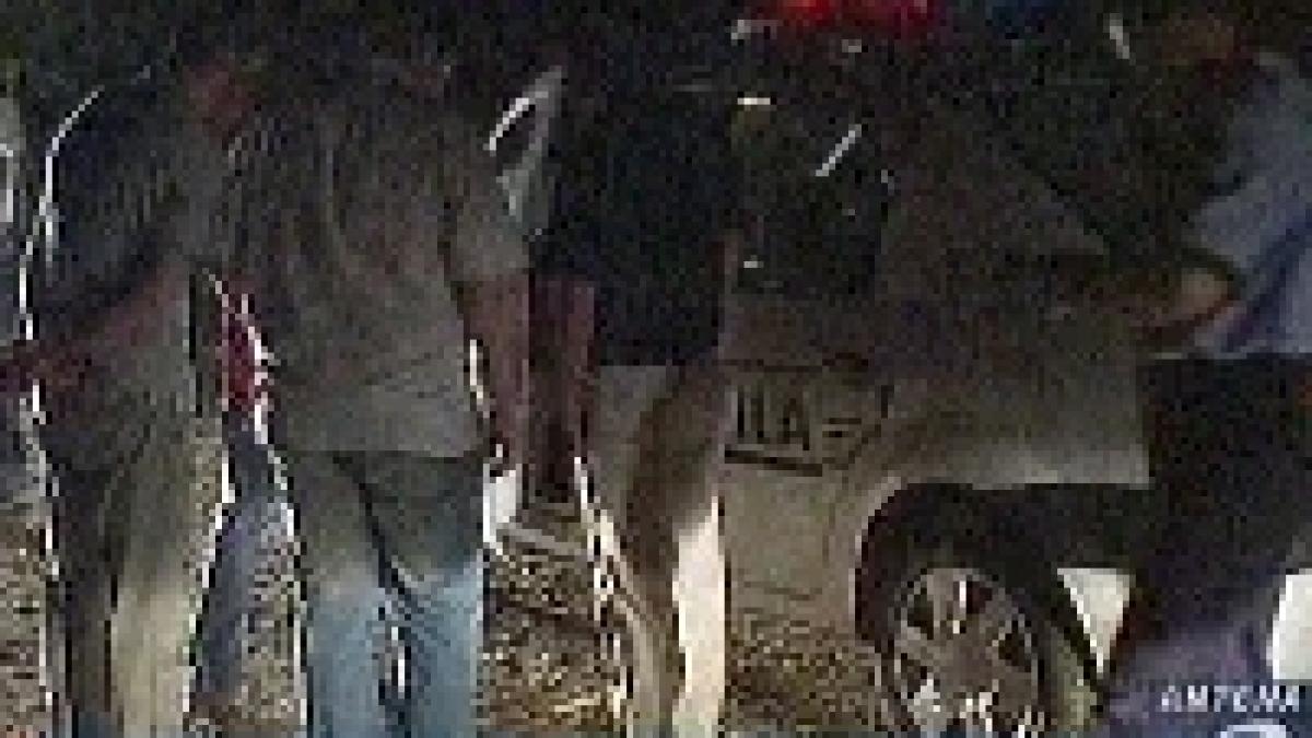 noapte cu focuri de arma in timis si arges