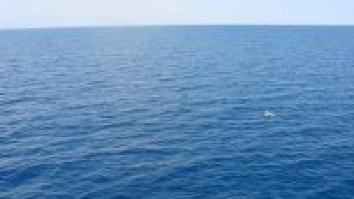 indiferenta ucide un roman s a inecat sub privirile italienilor veniti la plaja