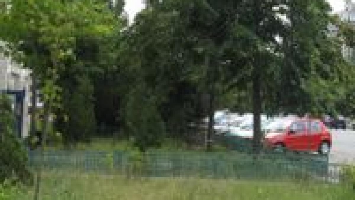 un oras romanesc ar putea fi declarat capitala verde europeana