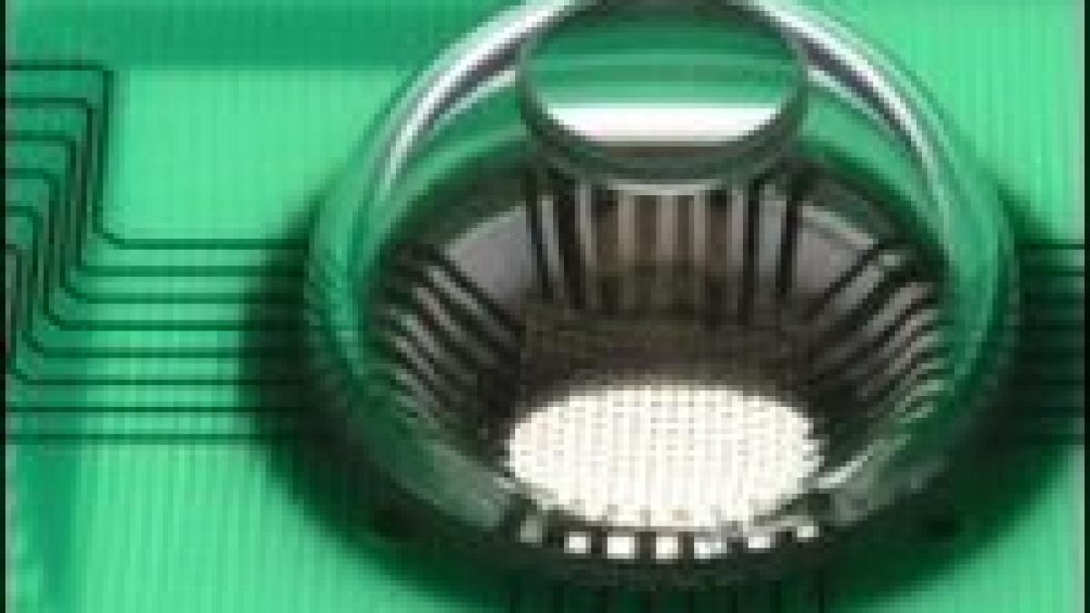 imagini fara distorsiuni prin dispozitivul elastic de captare a imaginii