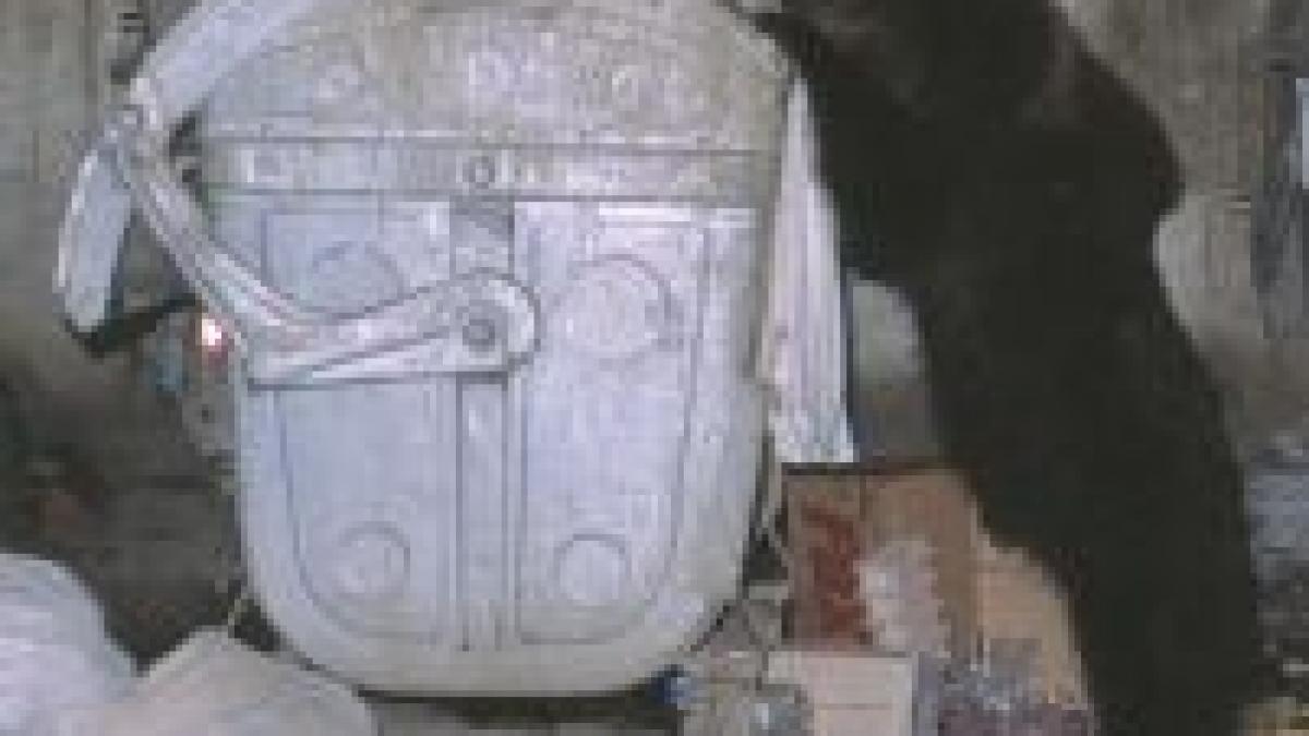 brasov turistii straini isi pun viata in pericol pentru a vedea ursii gunoieri