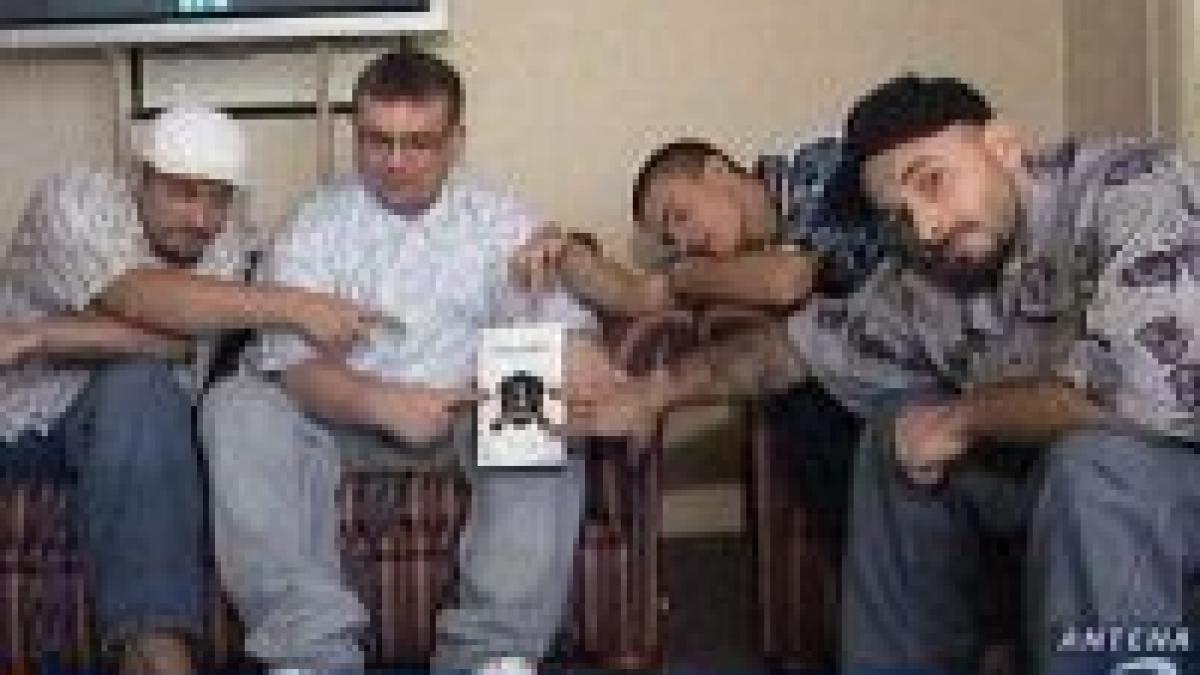 membrii trupei bug mafia implicati intr un accident rutier in arad