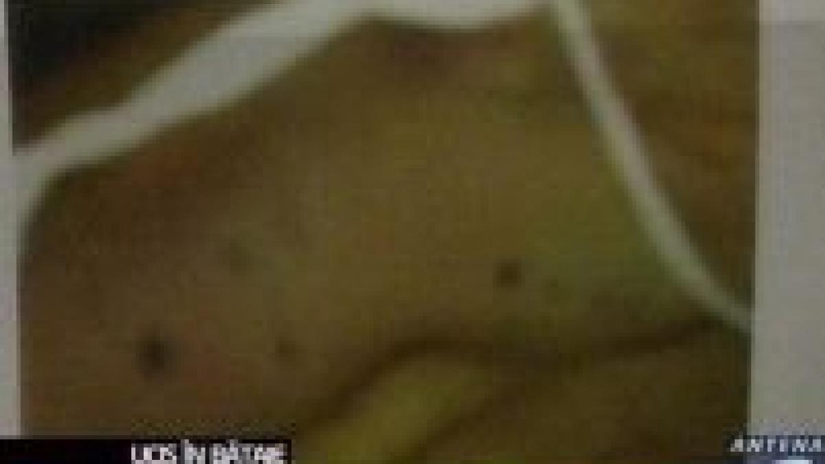 doi politisti din arad au ucis in bataie un batran de 75 de ani