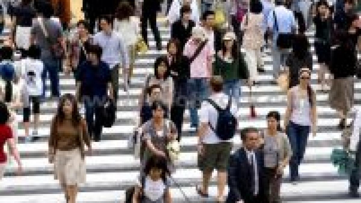 in anul 2042 rasa alba nu va mai fi majoritar 227 in sua