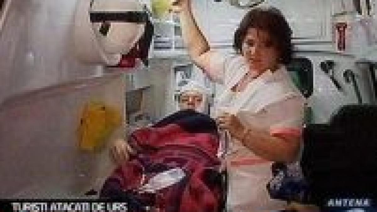 turist german atacat de un urs in lunca padinei din bucegi