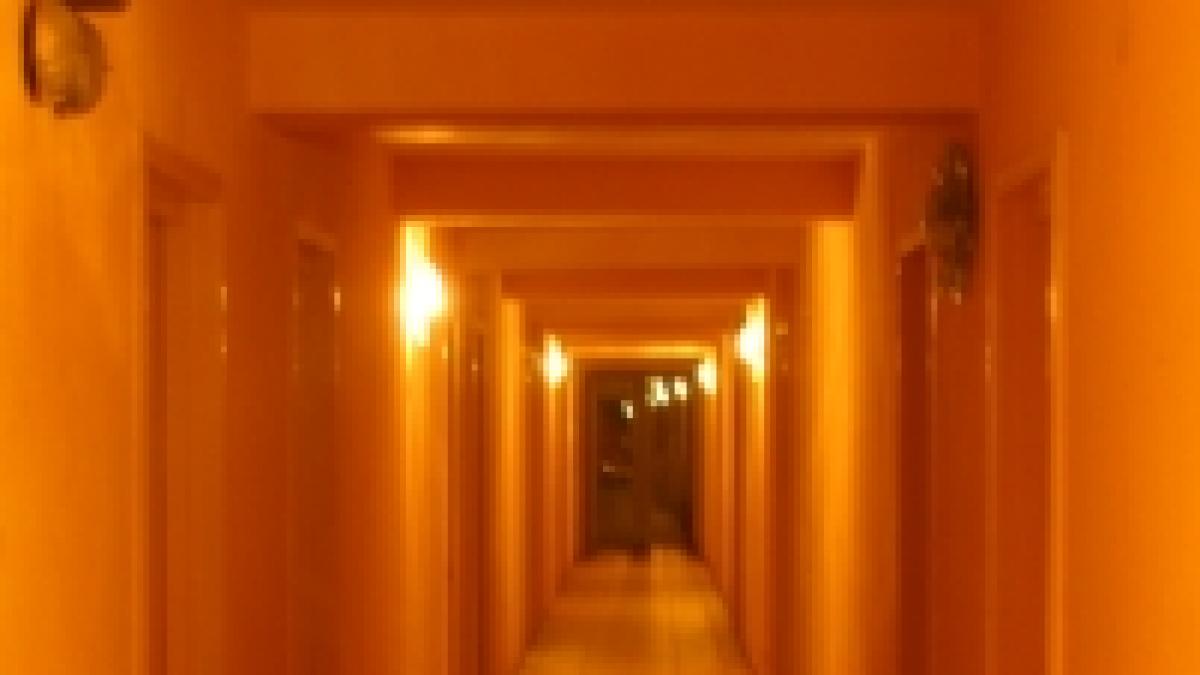 ratacit in mamaia viata la doua stele