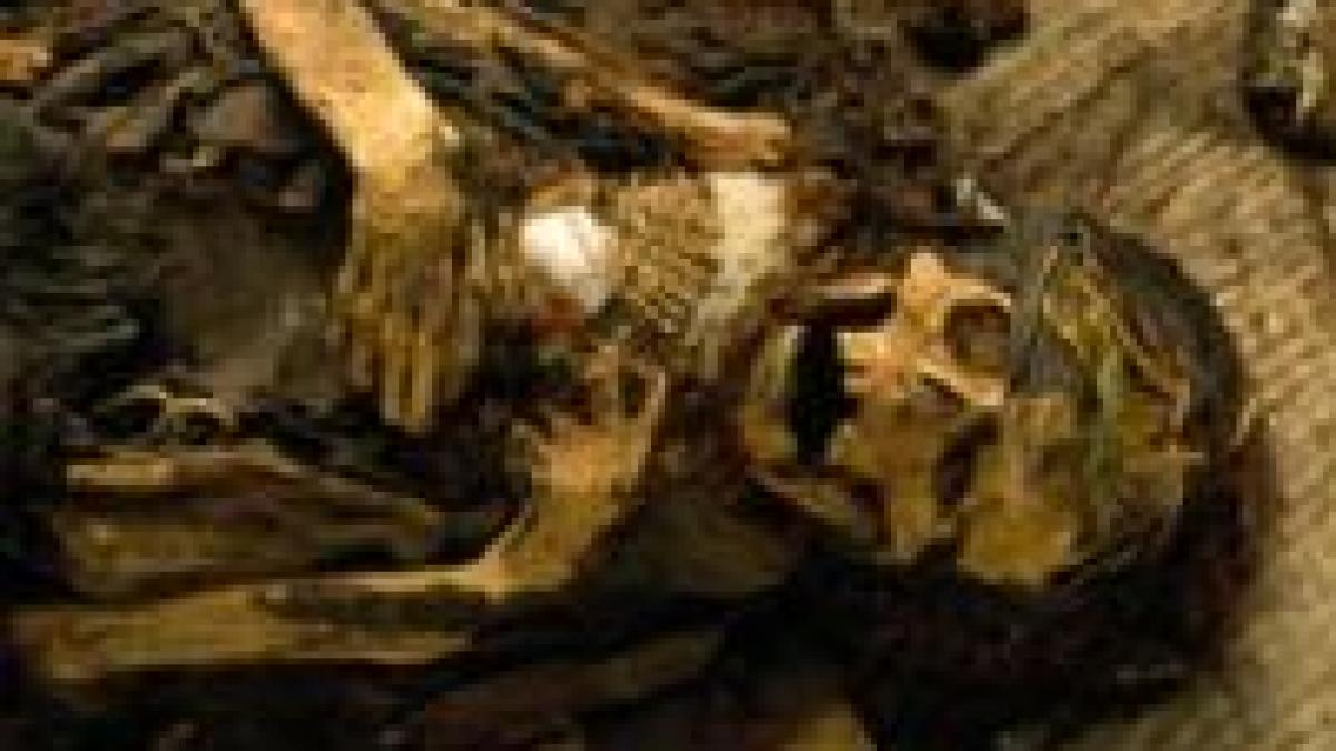 descoperiri importante in peru o mumie din anul 700 a fost gasita la lima