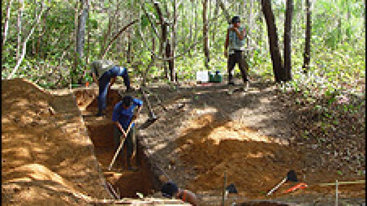 urme ale unor asezari urbane stravechi descoperite in padurea amazoniana