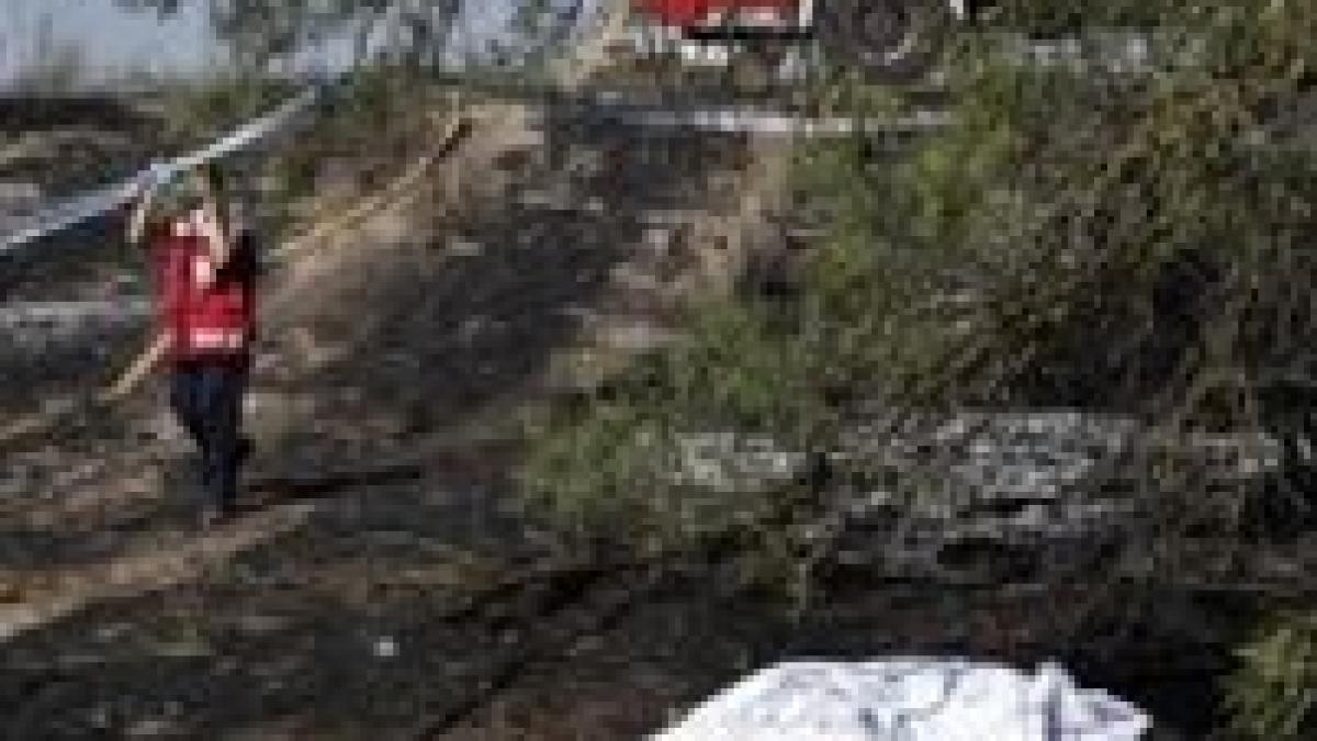 toate cele 154 de vctime ale tragediei aviatice din spania au fost identificate