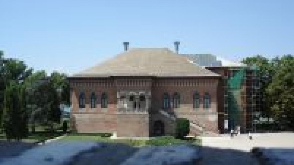 birocratia si interesele imobiliare motivul defrisarilor de la palatul brancovenesc