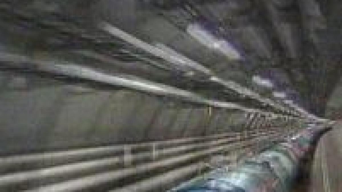 membrii pc au protestat la comisia europeana fata de experimentul lhc