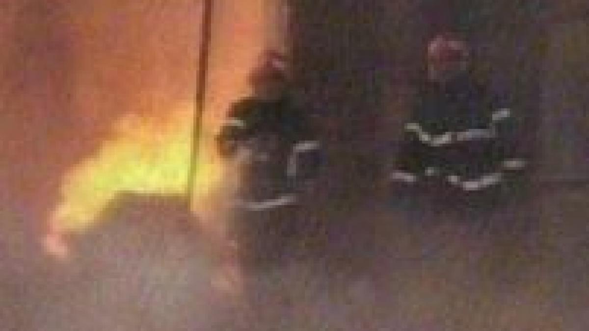 incendiu de proportii la platforma industriala a orasului baia mare