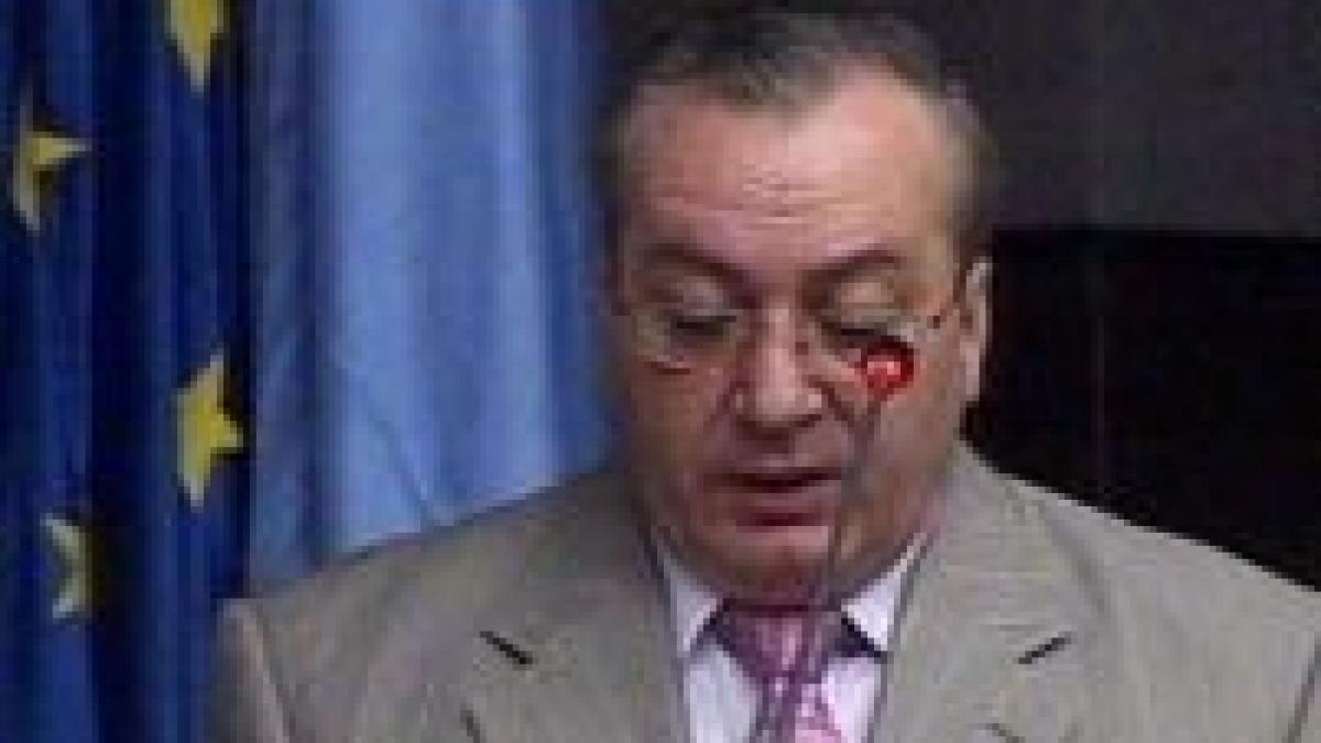 ins pib ul estimat pentru semestrul intai 2008 in crestere cu 8 8