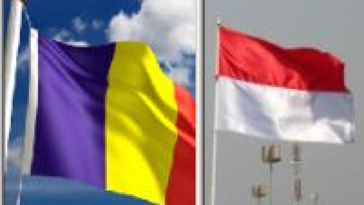 romania ar putea acorda asistenta indoneziei pentru combaterea coruptiei