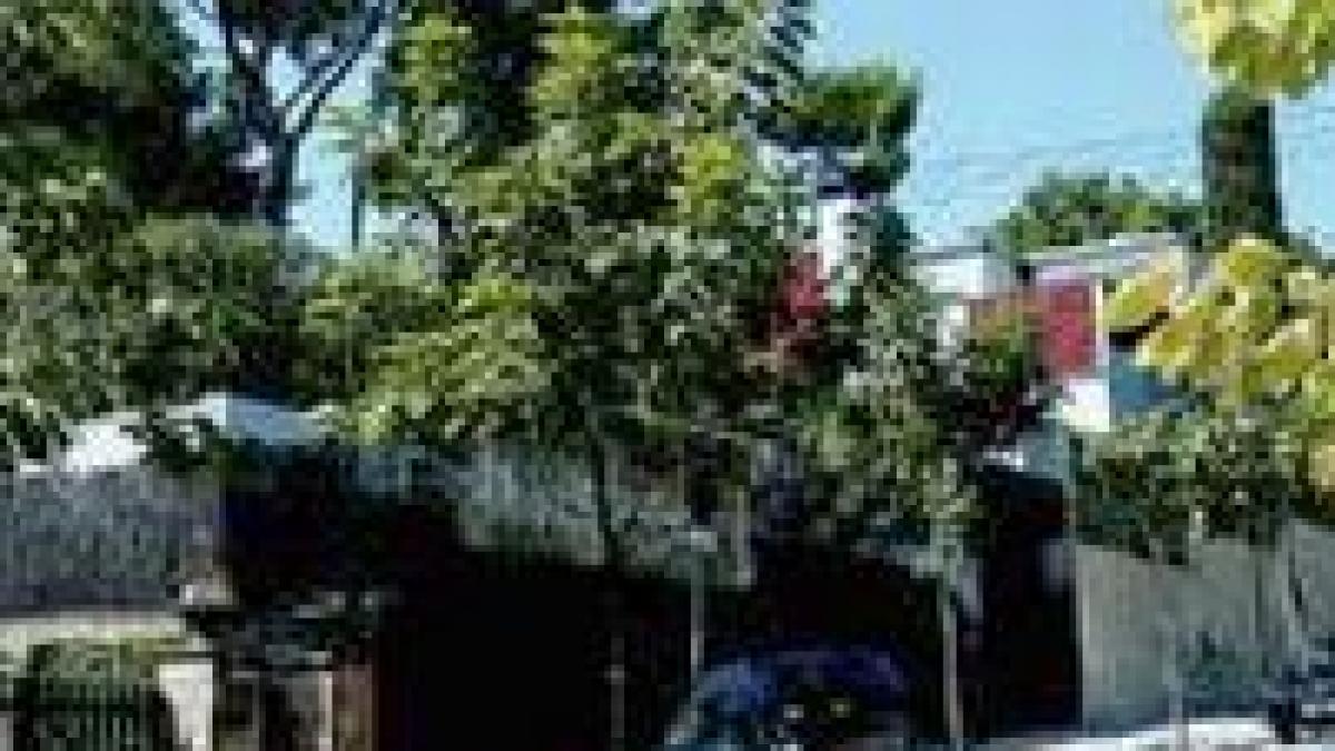 resedinta fiicei regelui spaniei atacata cu un cocteil molotov