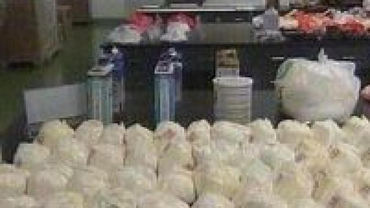 autoritatile chineze au musamalizat cazul laptelui contaminat pe timpul j o