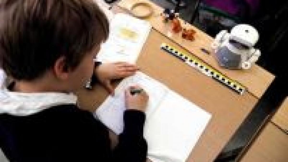 curricula preuniversitara va fi modificata in doi ani