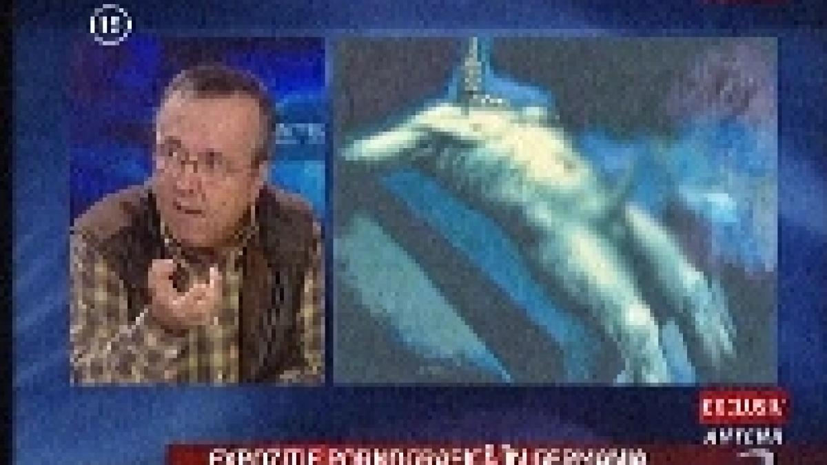 sinteza zilei expozitie pornografica in germania a institutului cultural roman