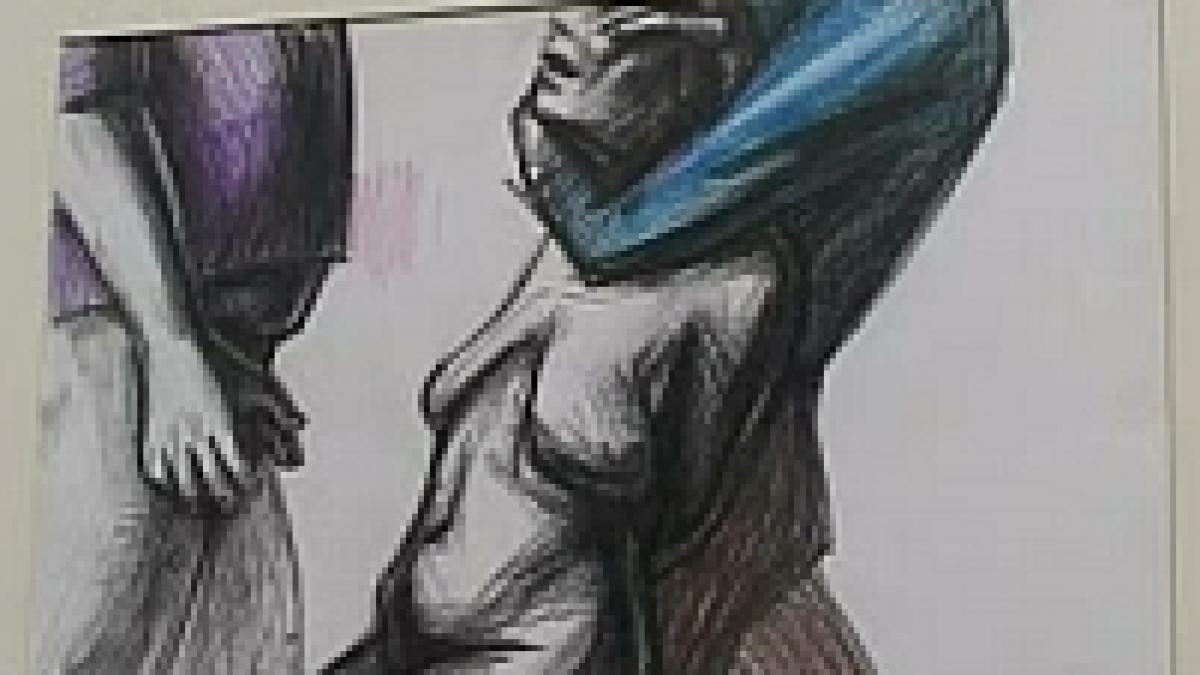 interzis minorilor imagini video de la controversata expozitie de la bochum a icr